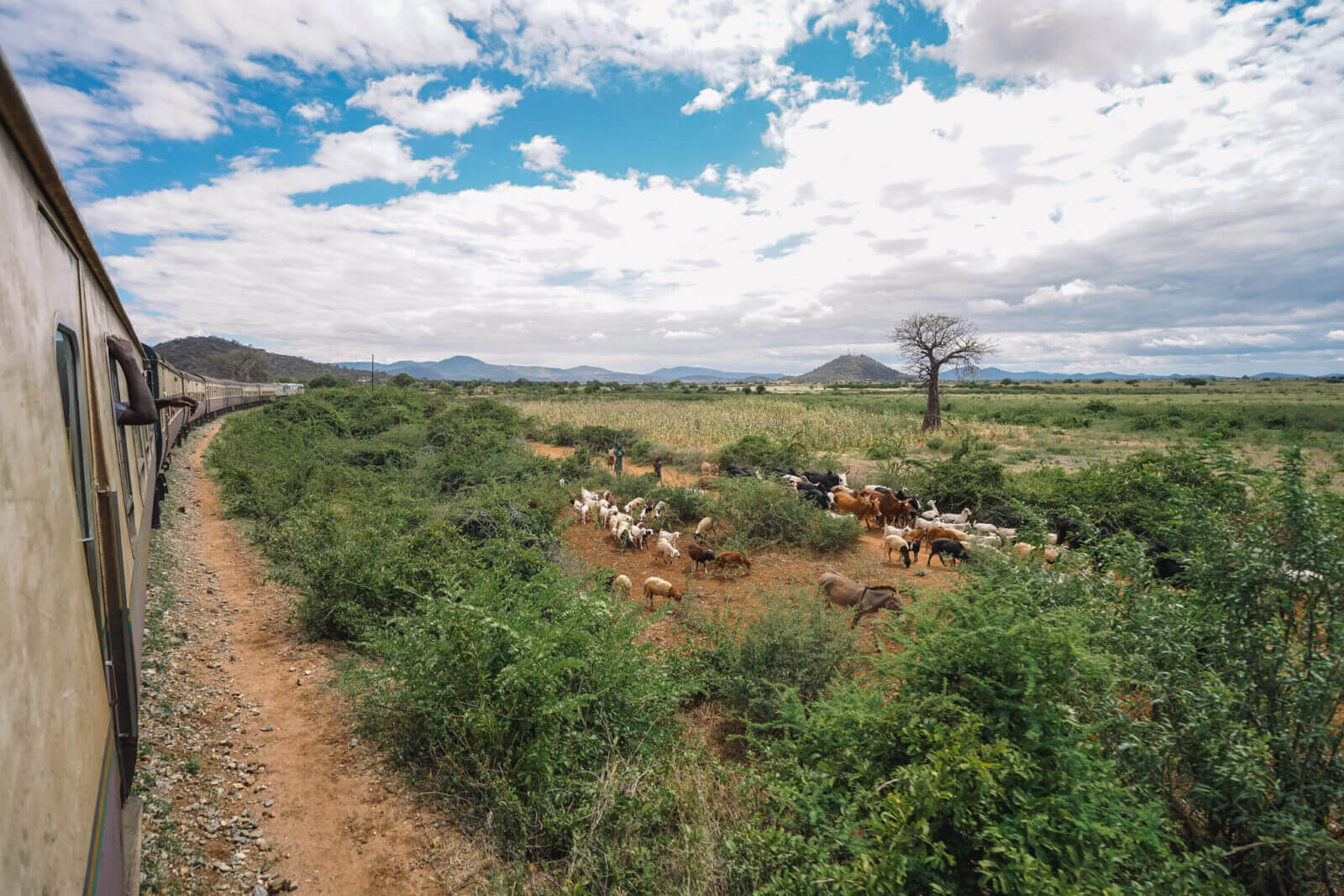 paysages depuis le train en traversant la Tanzanie