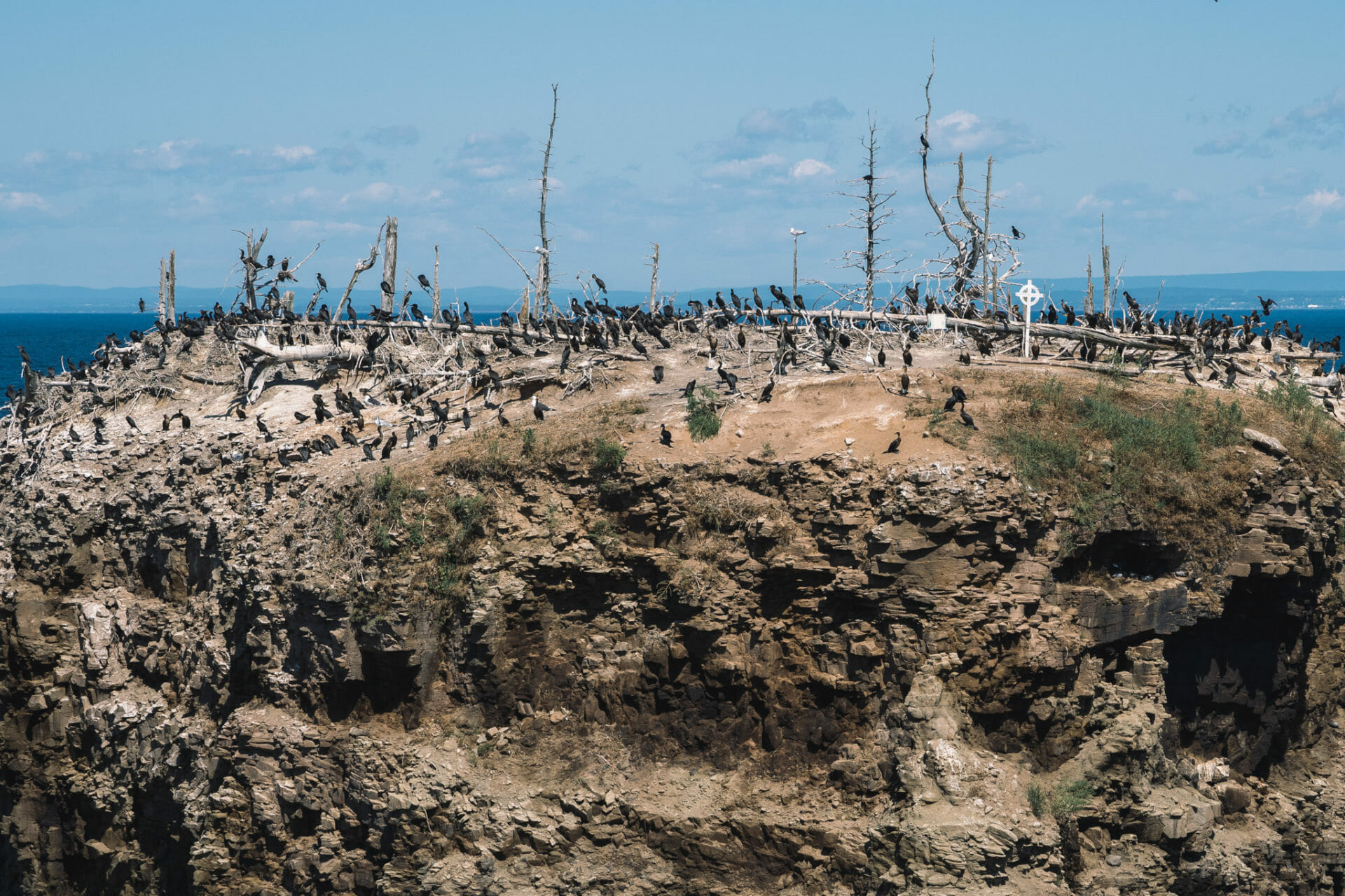 Pokeshaw rocks-canada-nouveau-brunswick