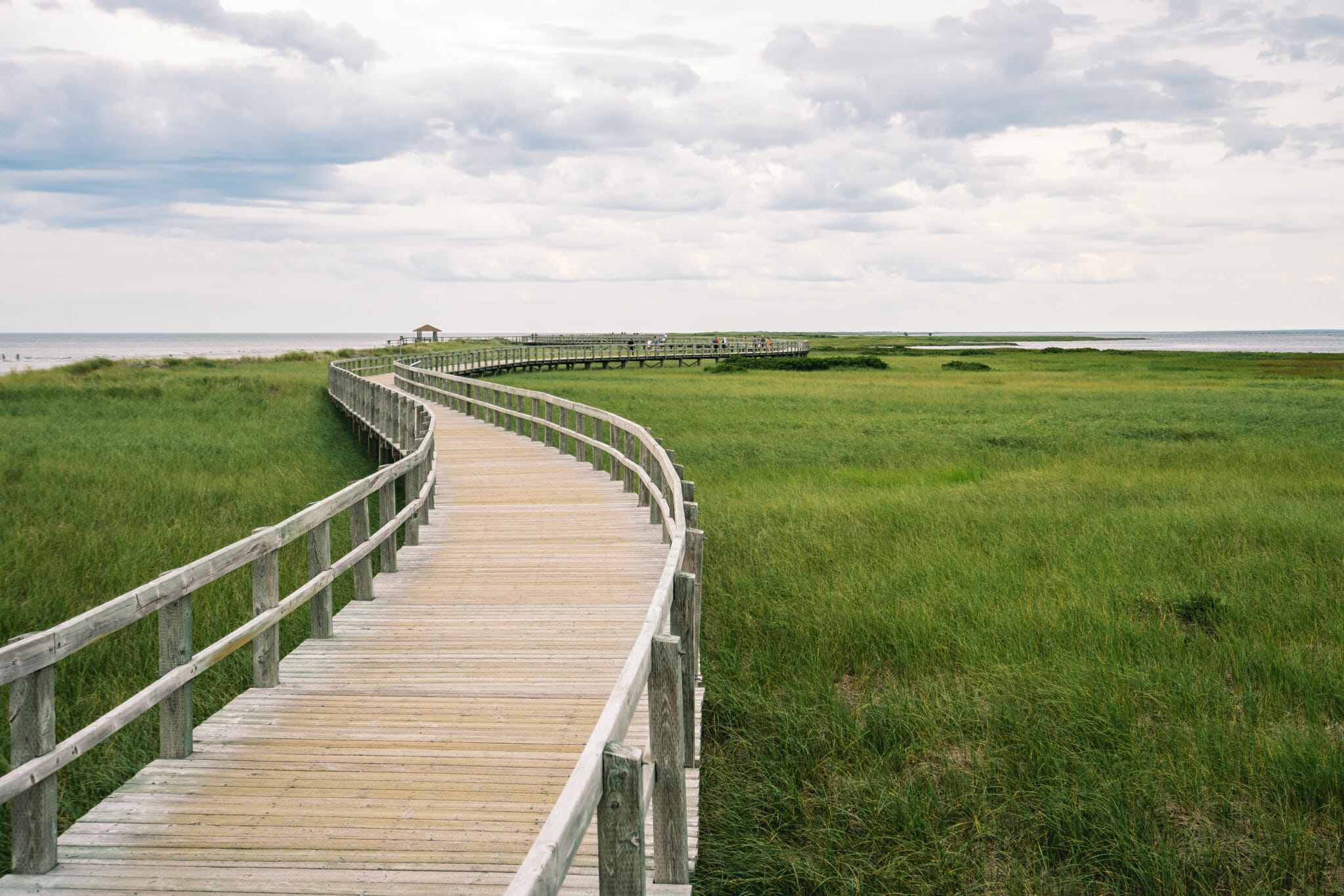 dune-bouctchouc-new-brunswick-canada