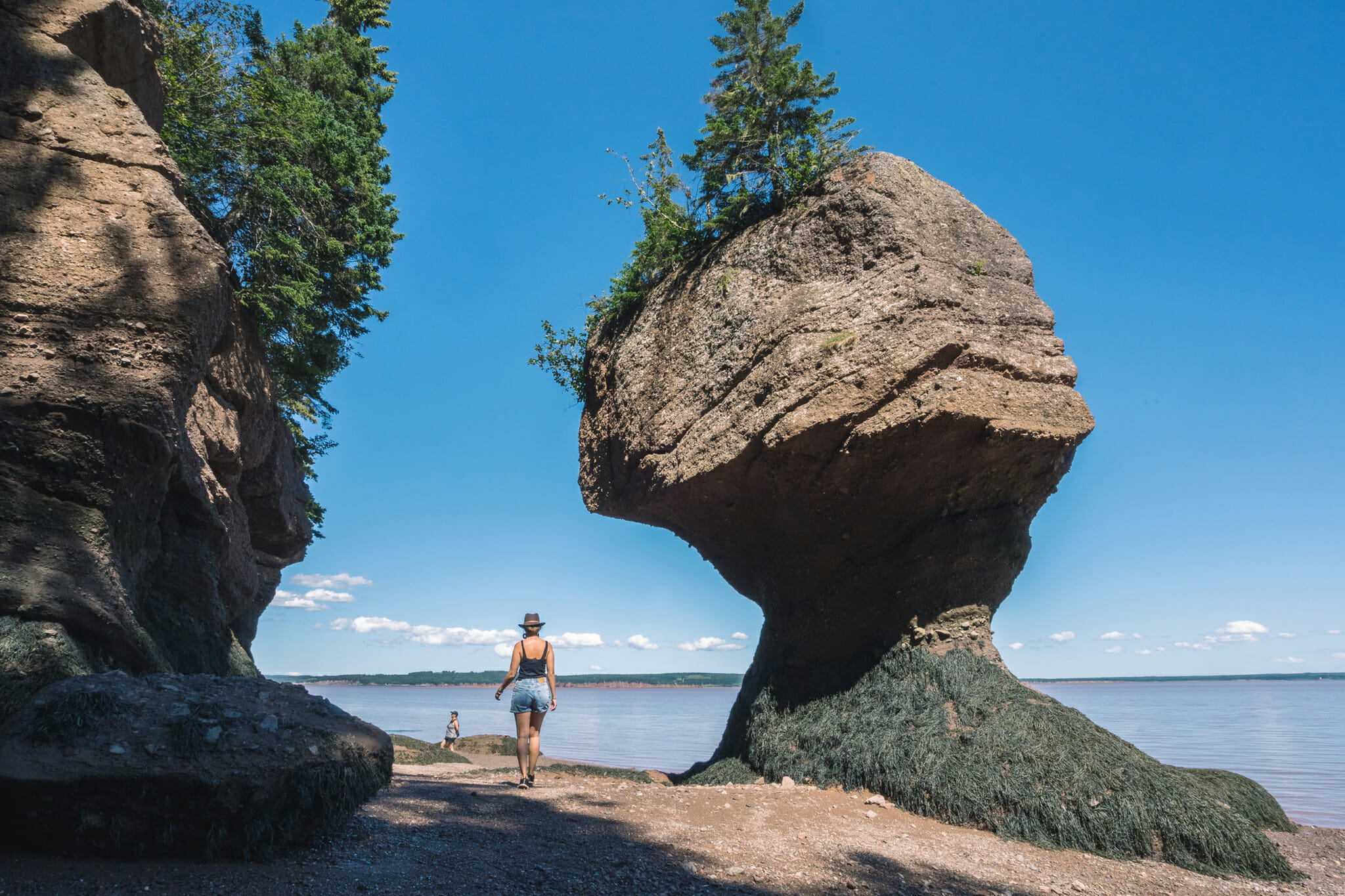 hopewell-rocks-canada-voyage-que faire