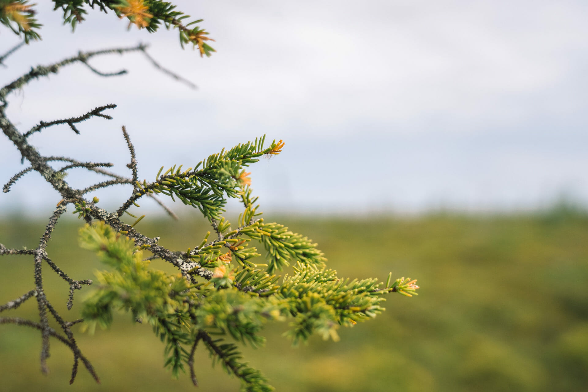 où-dormir-canada-Miramichi