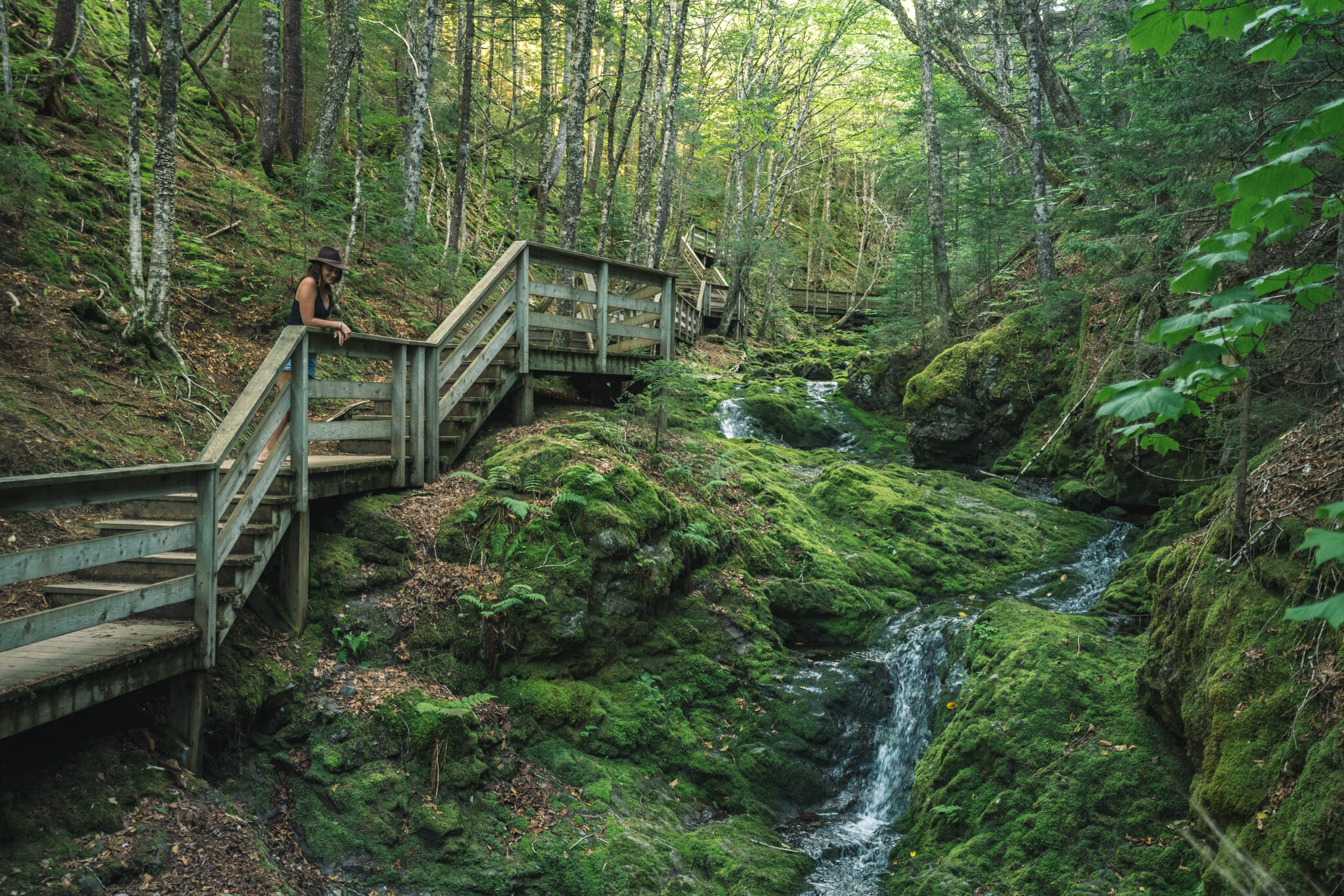 parc-fundy-road-trip-canada-new-brunswick