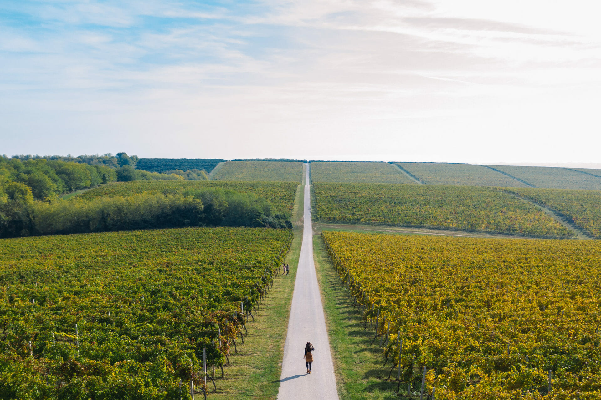croatie-visite-road-wine-slavonia