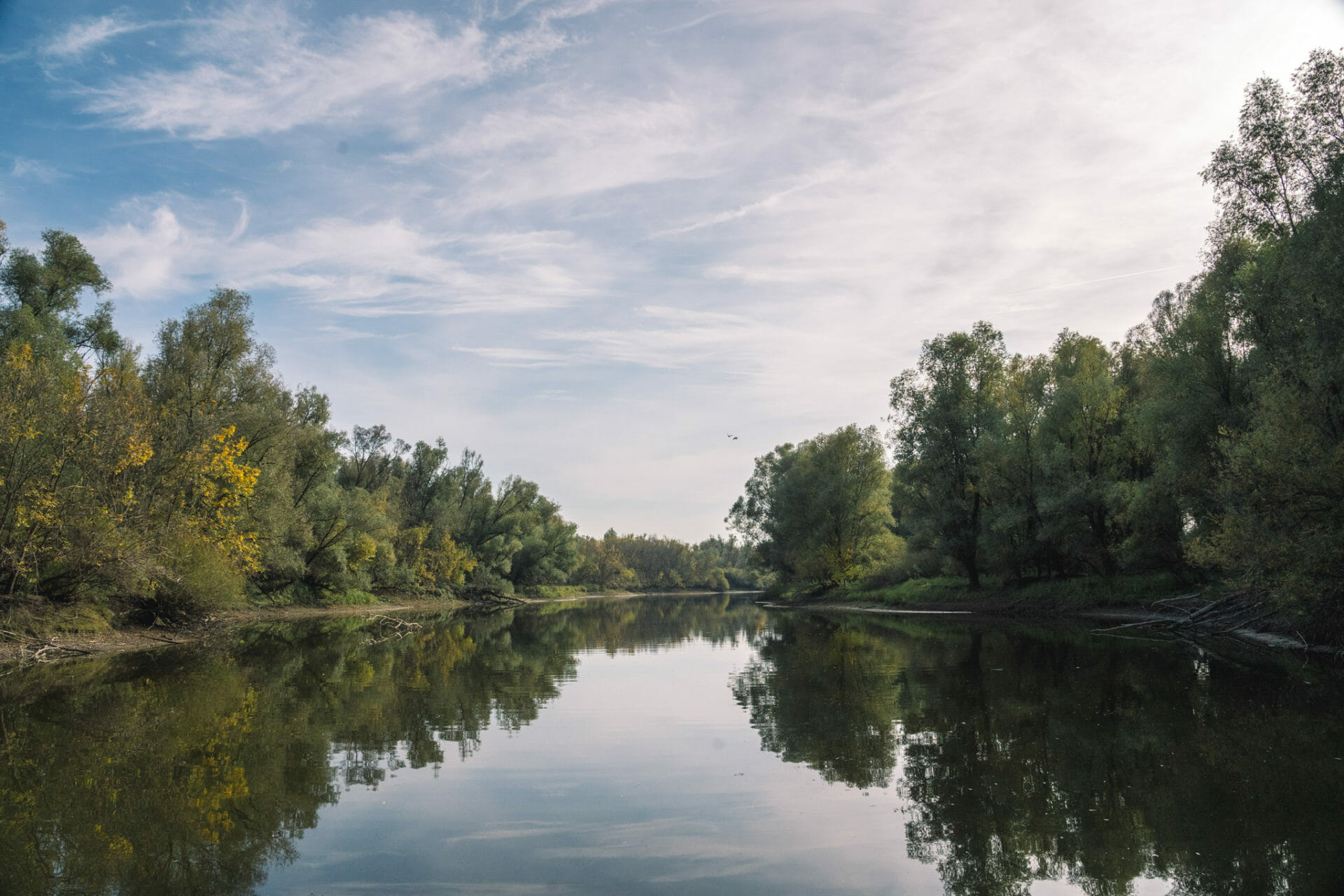 kopacki-parc-slavonia-croatia