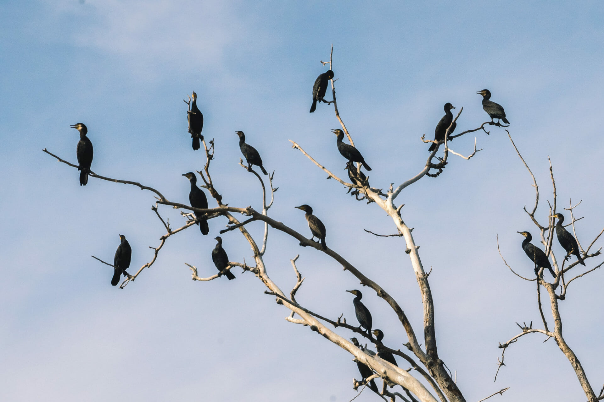 parc-kopacki-croatia-slavonia