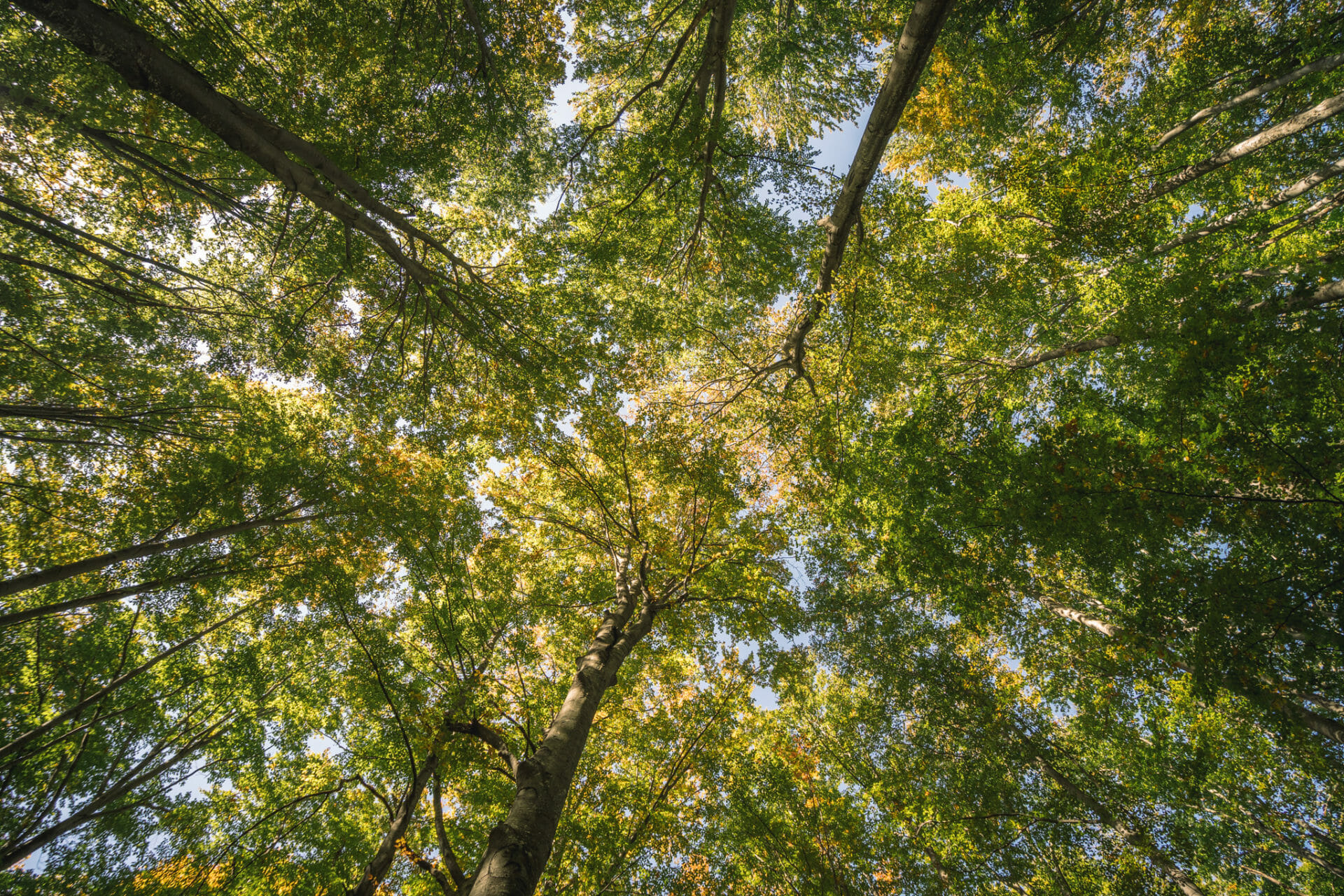 parc-papuk-croatia-slavonia