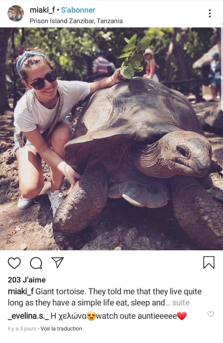 prison-island-zanzibar-photo-tortue