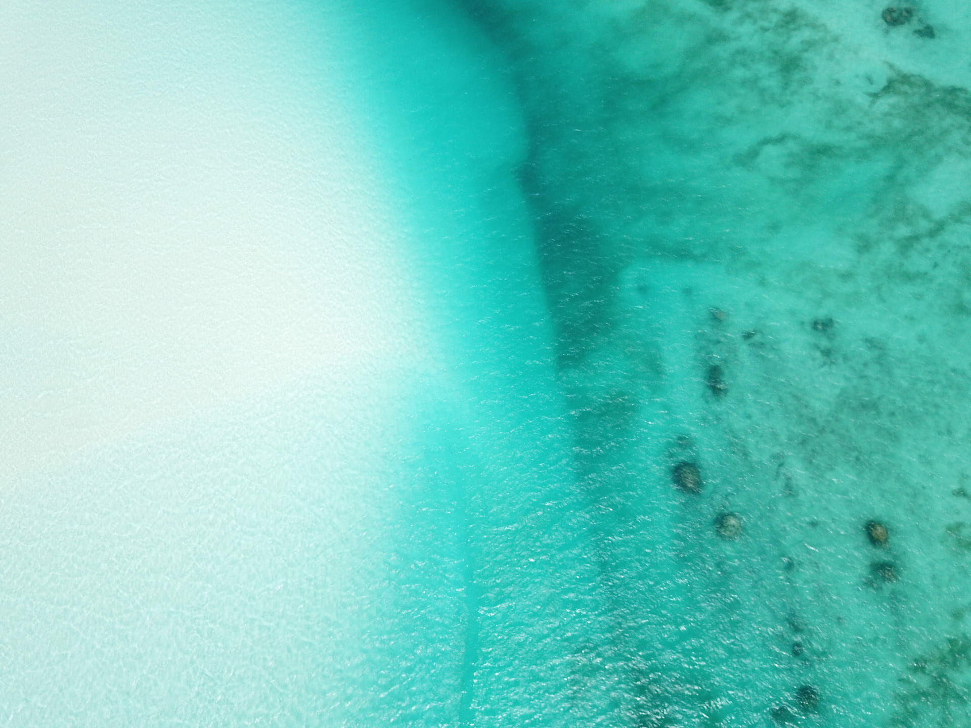 zanzibar-dow-que-faire