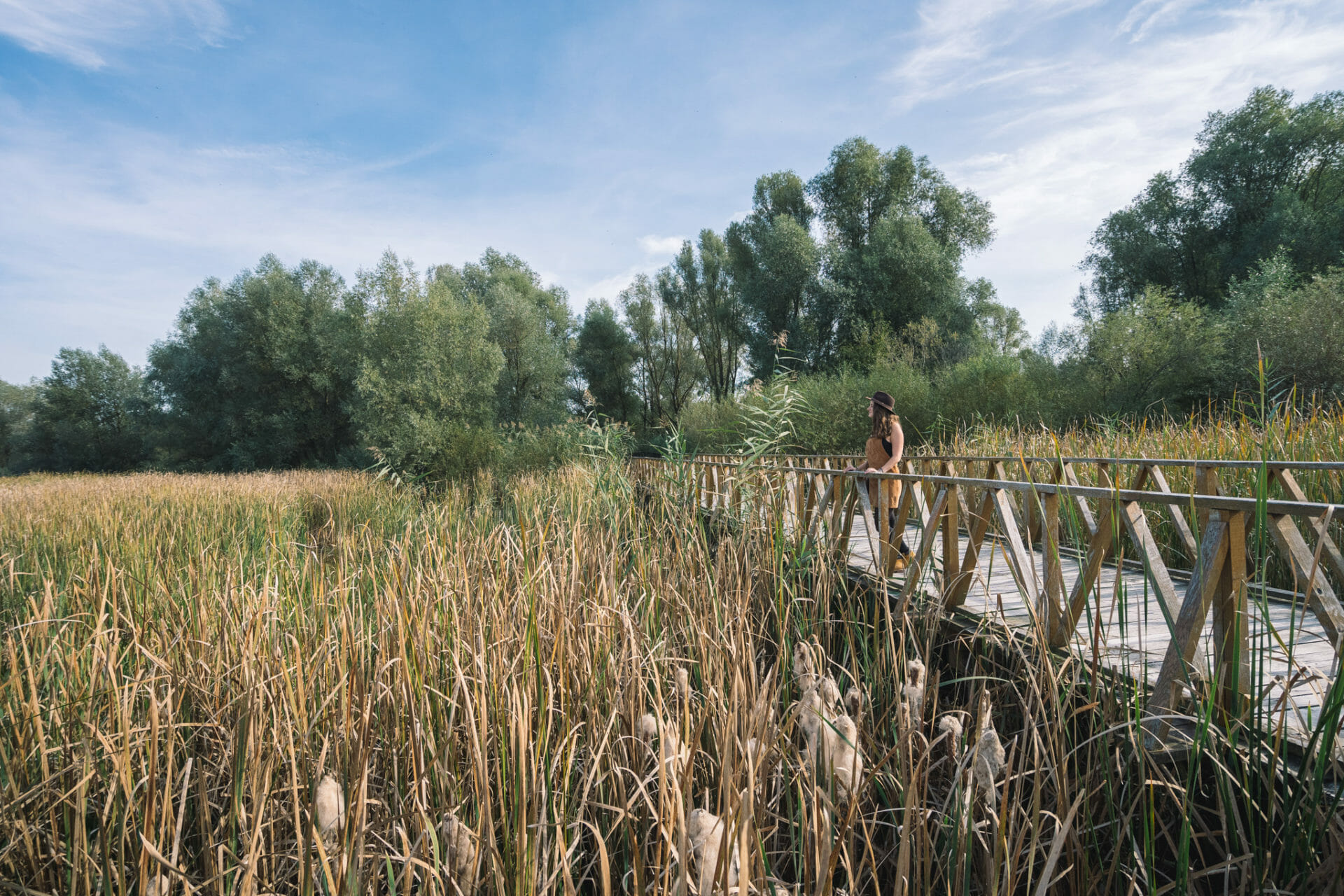 slavonia-croatia-europe-voyage-parc-kopacki