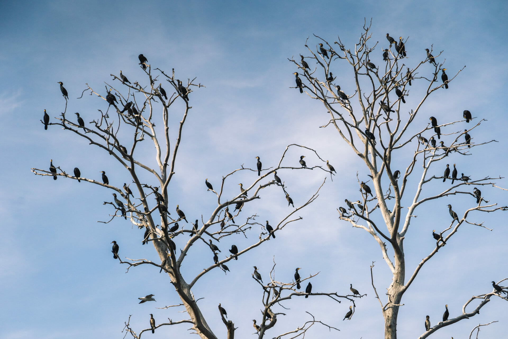 slavonia-parc-croatia-europe-voyage