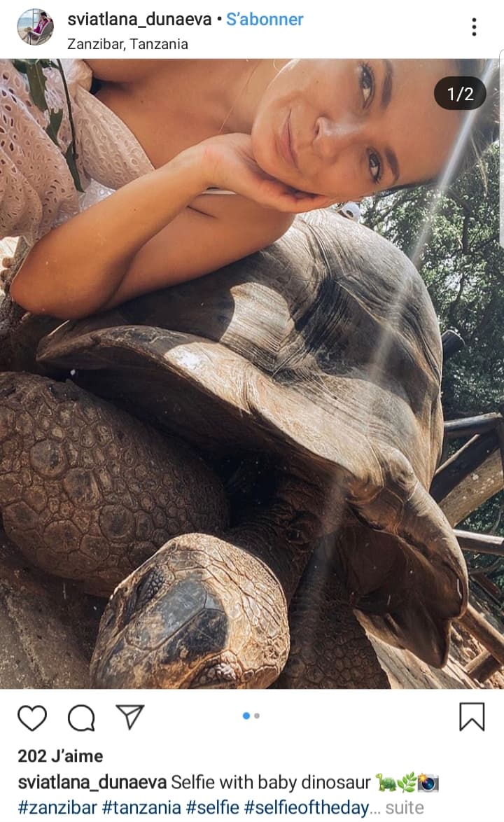 tortue-zanzibar-prison-island