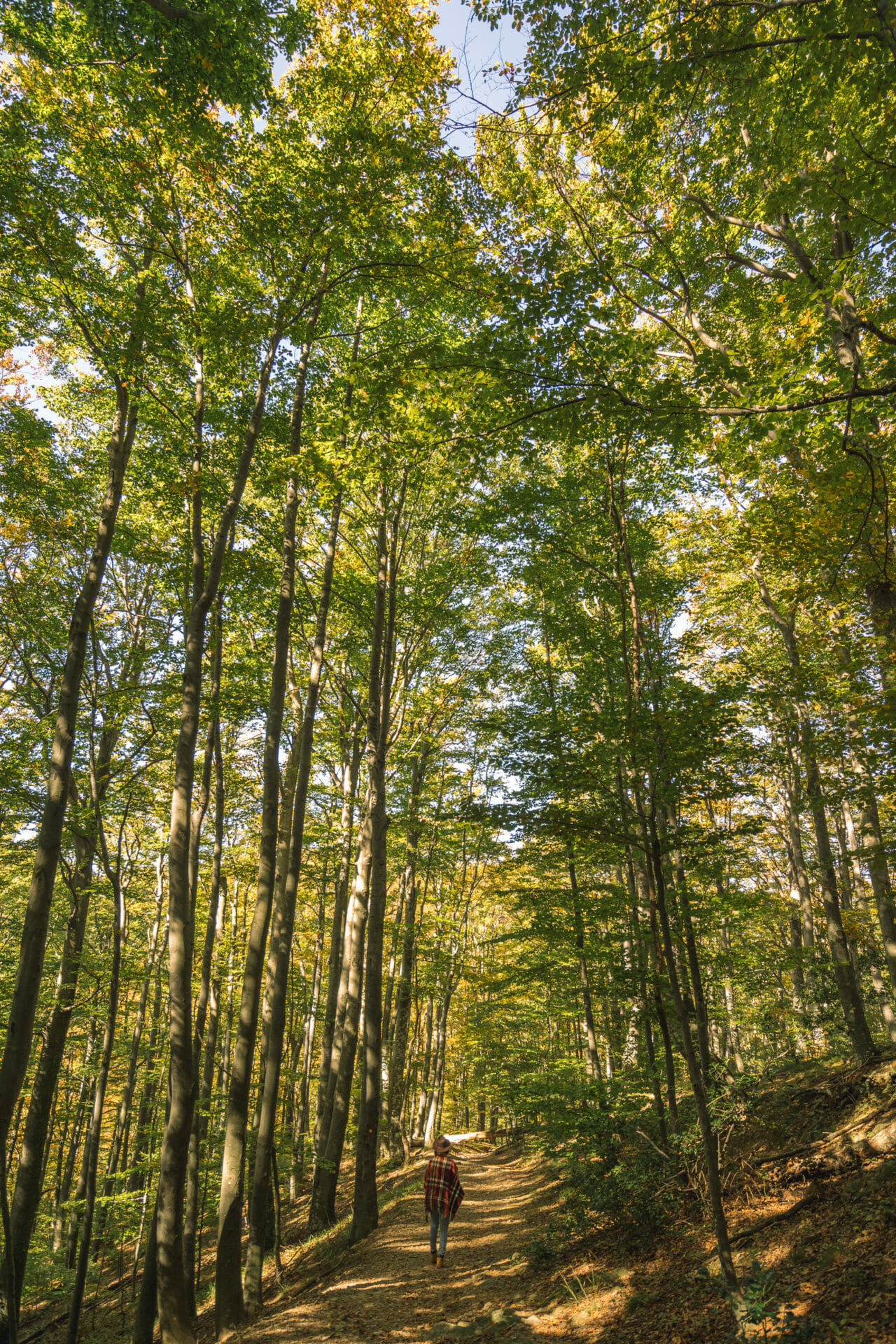 visiter-parc-papuk-croatie
