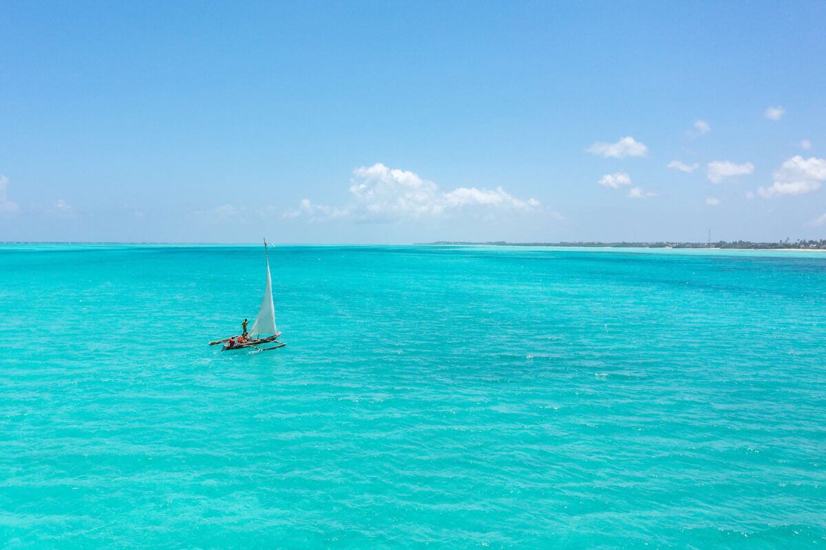 Fondatrice de la ferme de café familiale en Tanzanie
