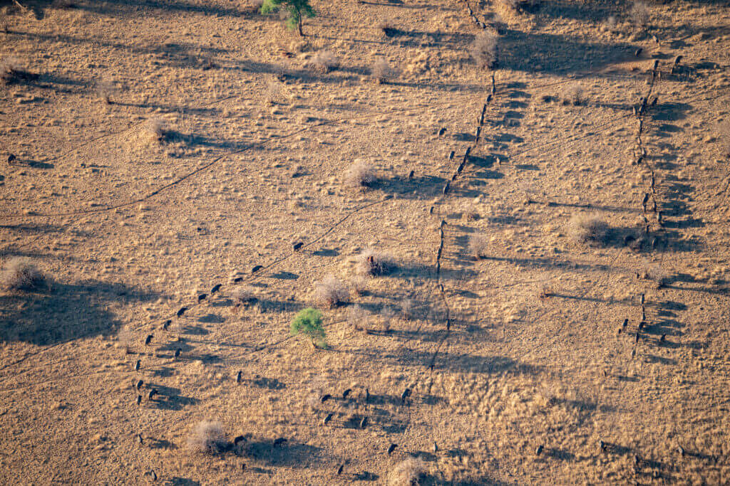 Le Tarangire vu depuis une montgolfière