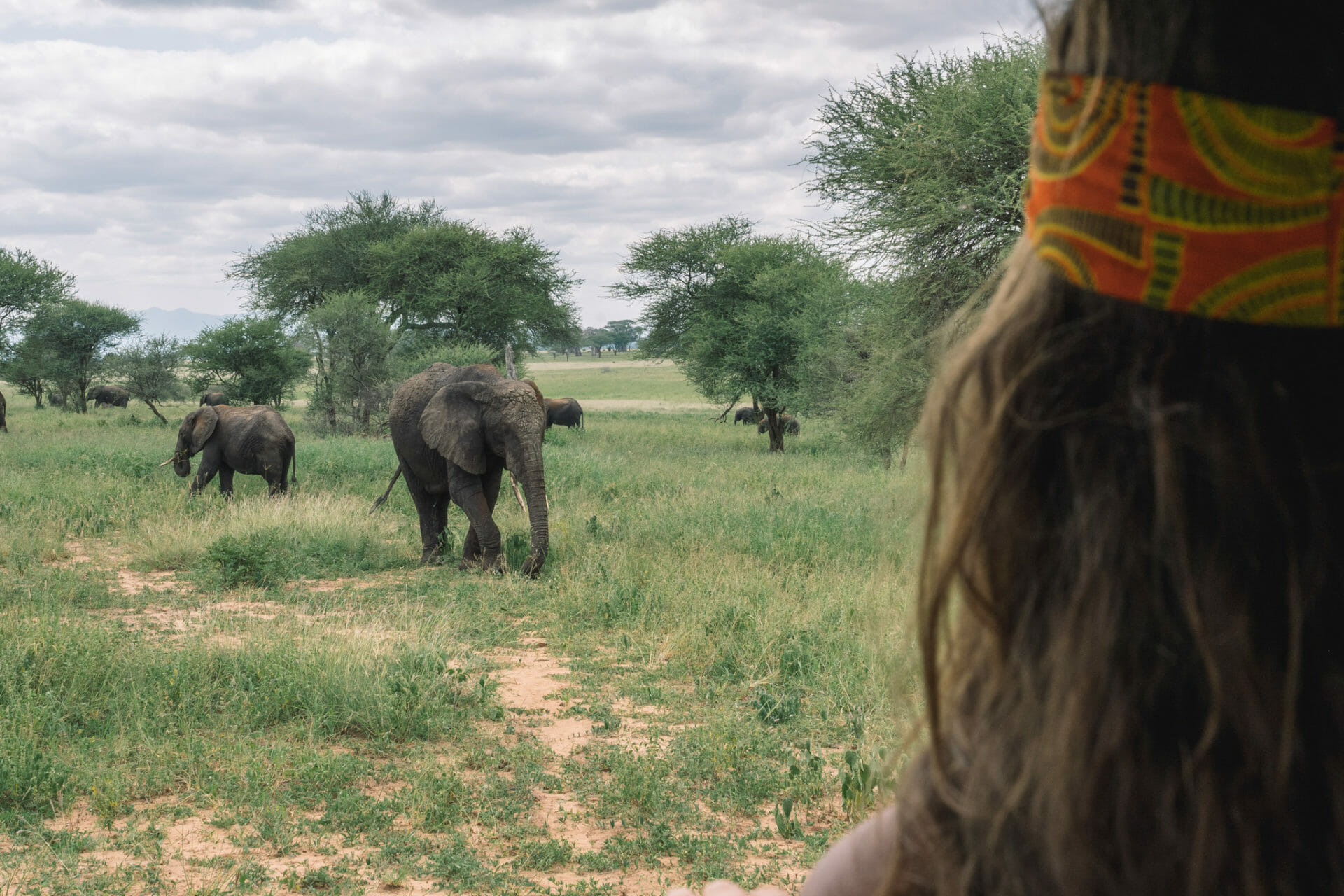 parc-tarangire-tanzanie-safari