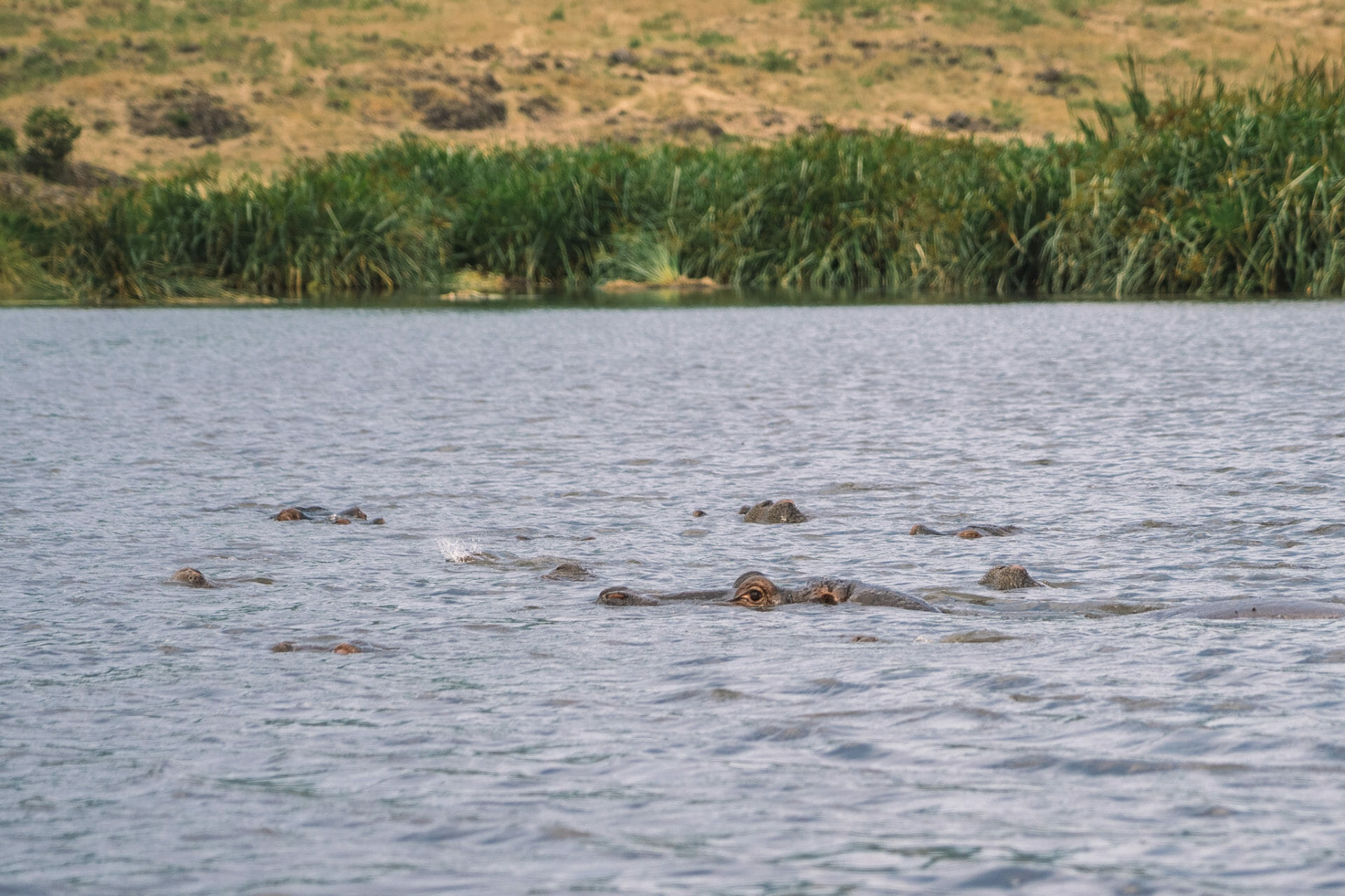 safari-cratère-ngorongoro-tanzanie