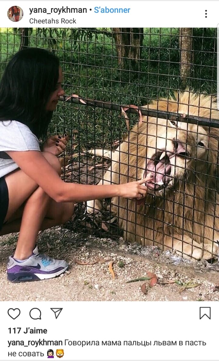 zanzibar-tanzanie-cheetah-rock
