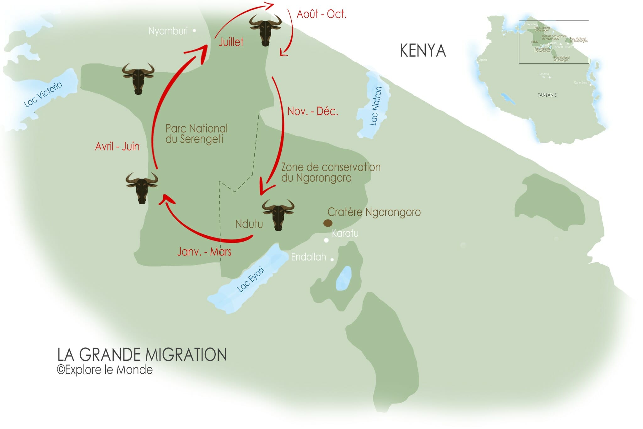 Carte de la grande migration des gnous en Tanzanie