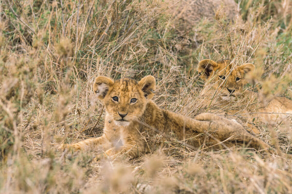 Fondatrice de la ferme de café familiale en Tanzanie