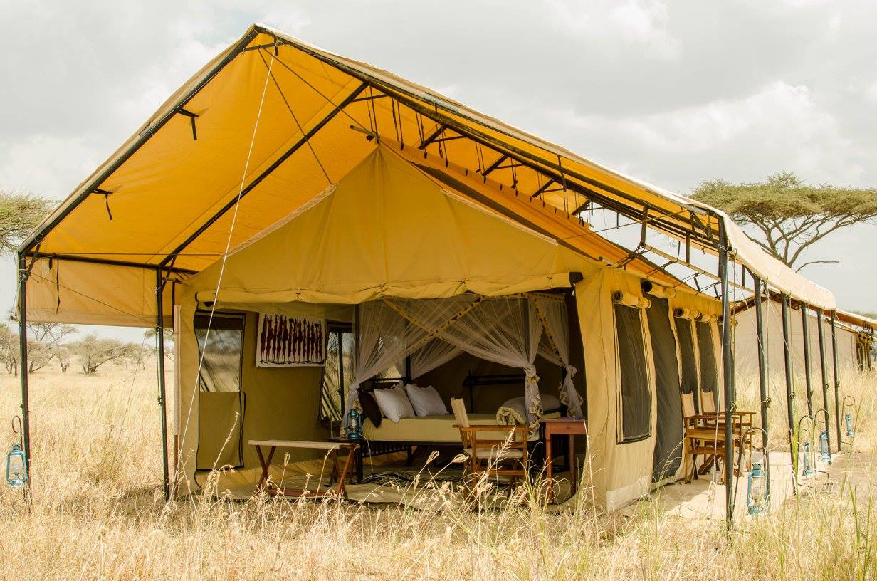 serengeti-lodge-safari