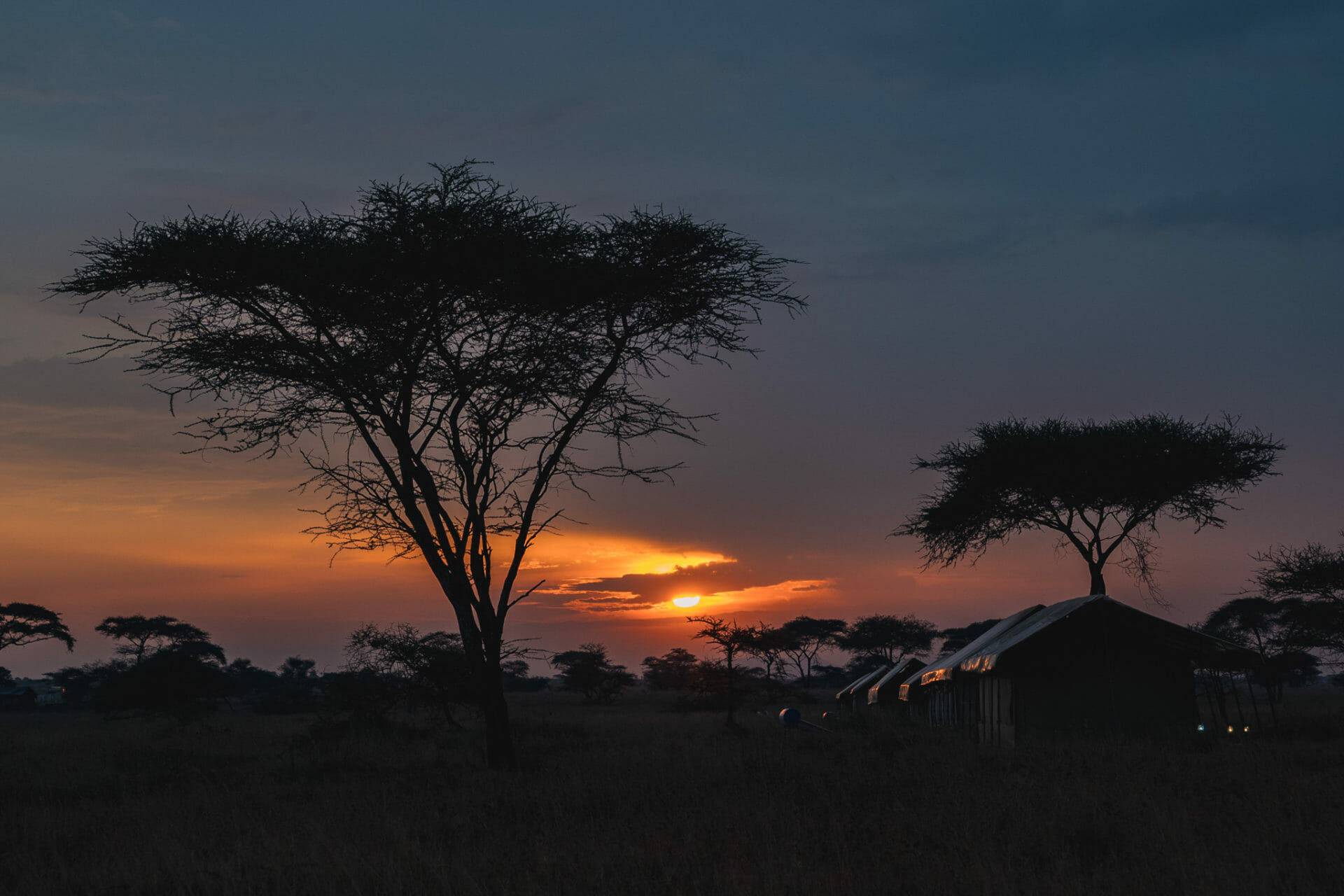 serengeti-tanzanie-parc-safari