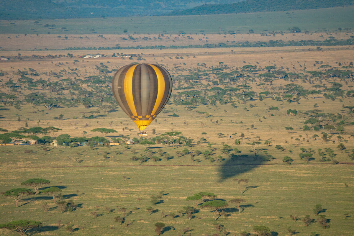 Montgolfière dans le ciel du Serengeti