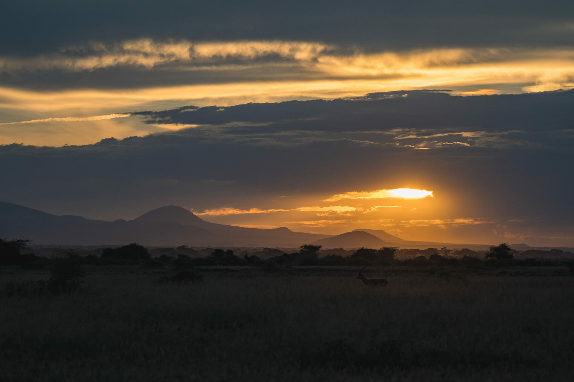 parc-amboseli-kenya-safari-coucher-soleil-savane