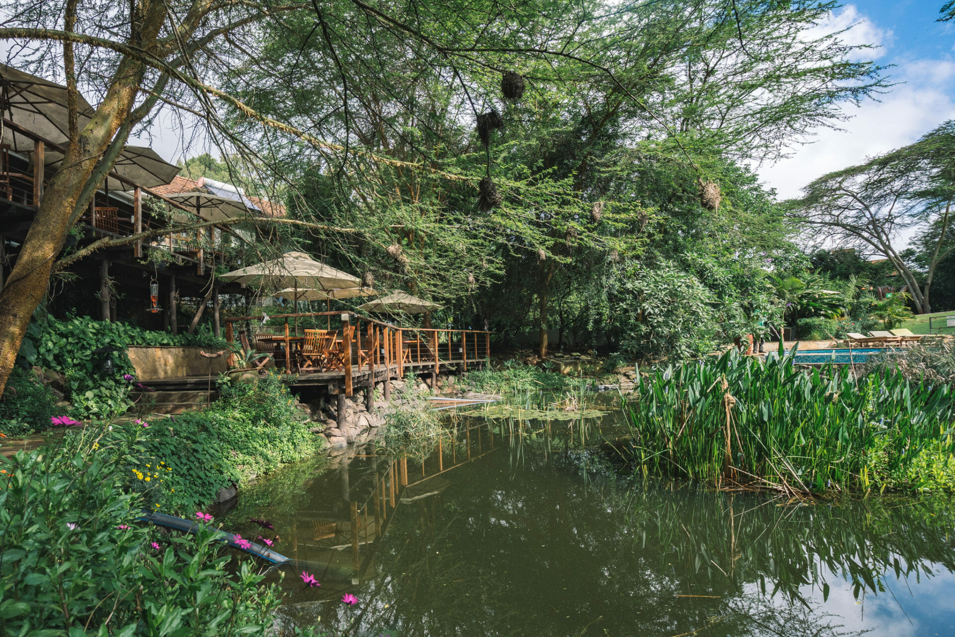 wildebeest-eco-camp-nairobi-kenya-lodge-dormir