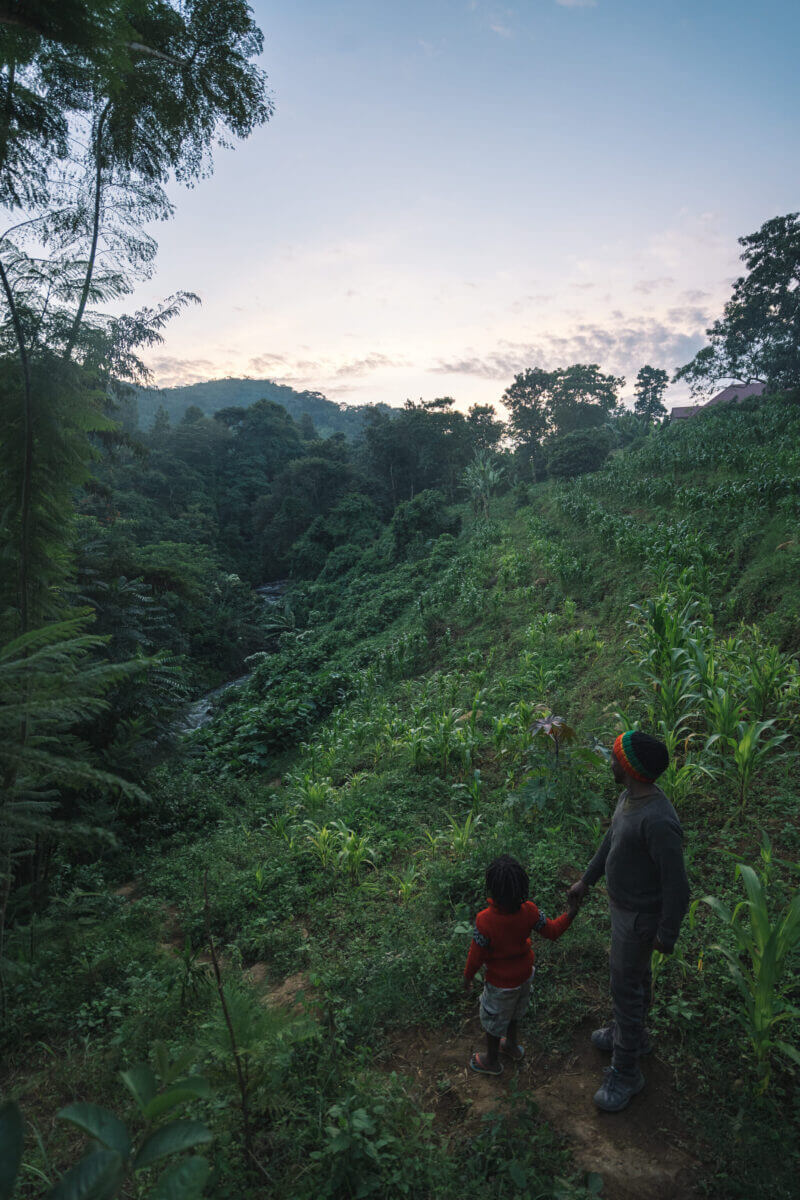 Balade au coeur de la forêt dans le village de Gerald près de Arusha