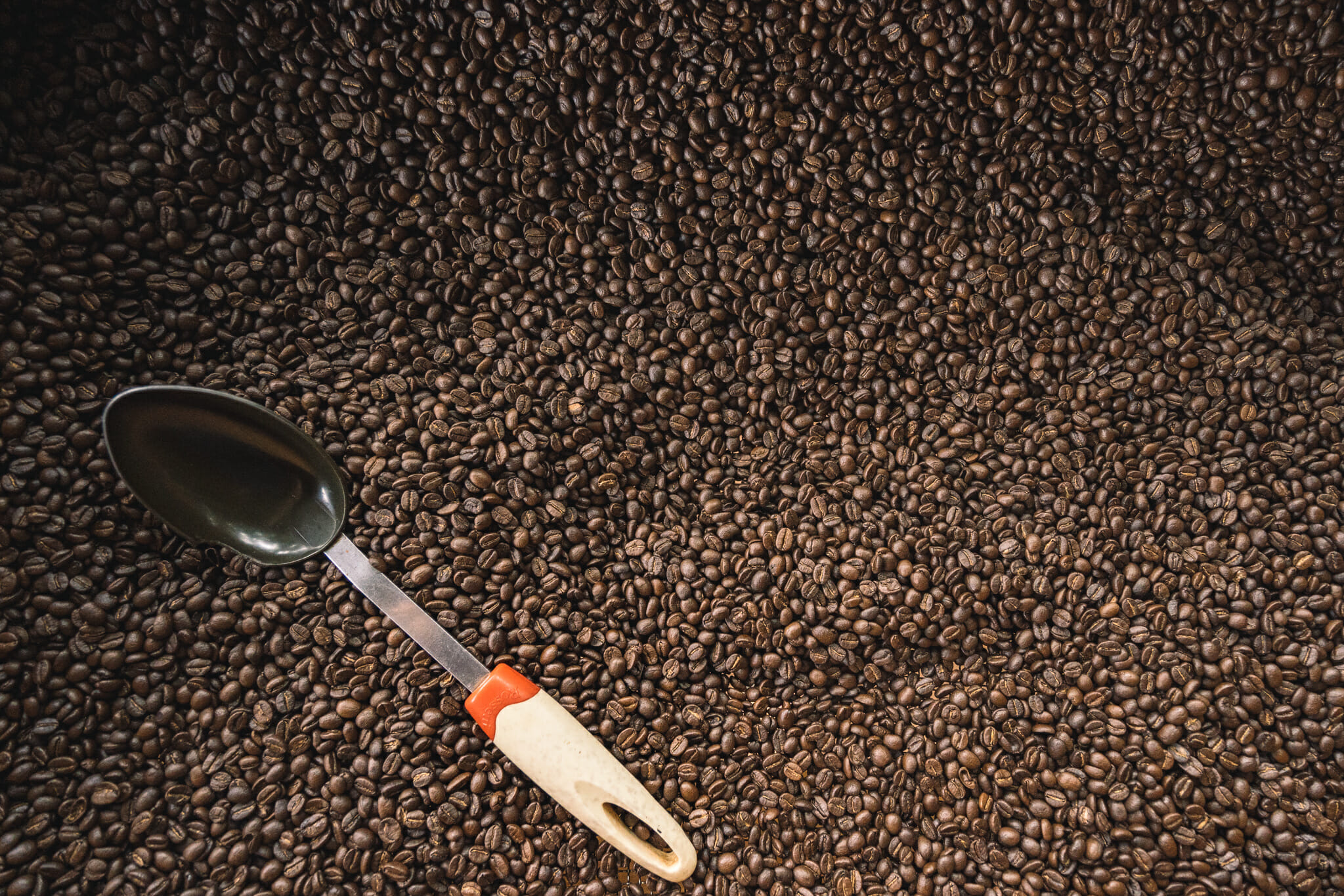 production de café dans une ferme familiale de Tanzanie