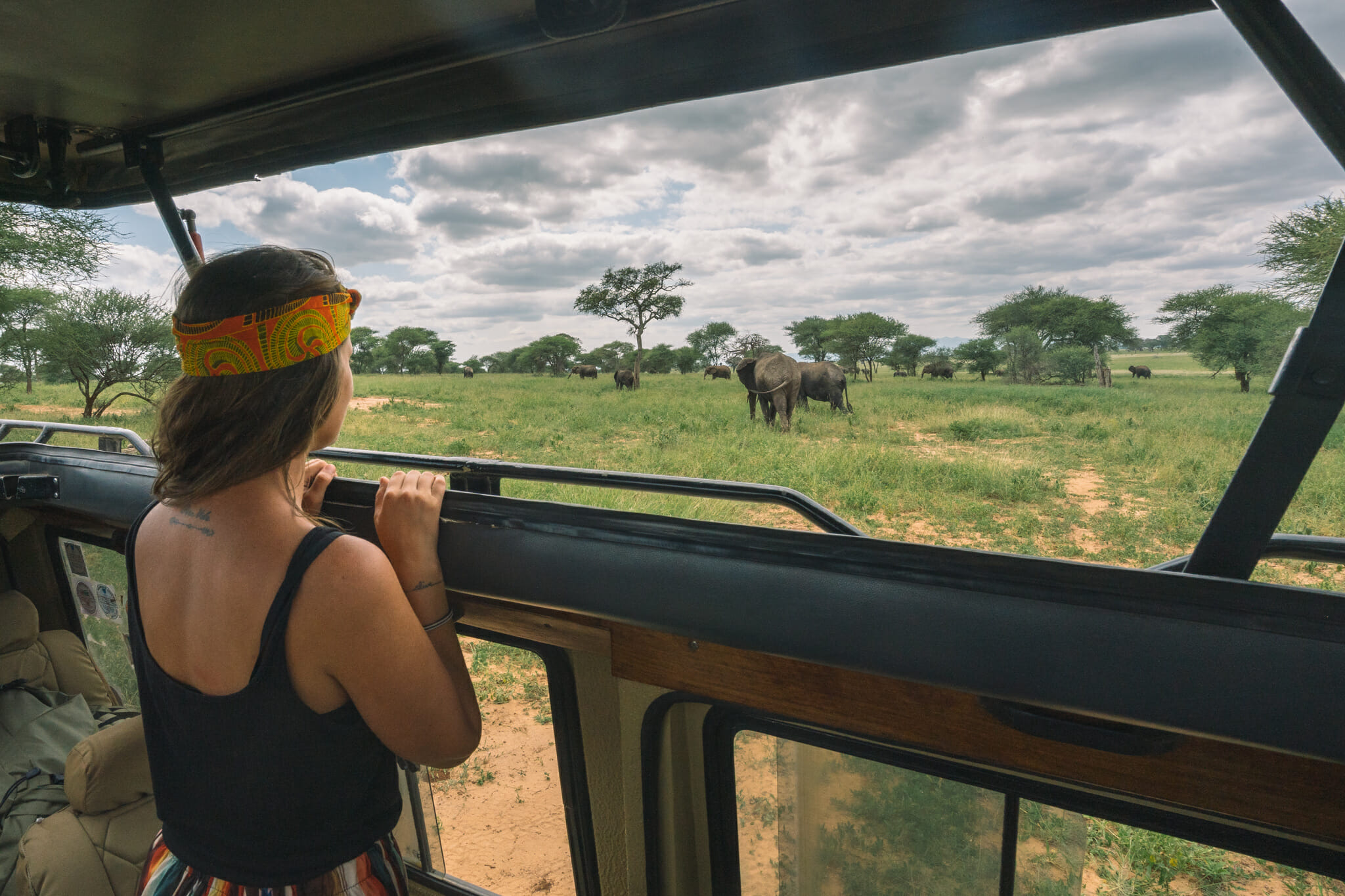 Observation des éléphants dans le parc du Tarangire en Tanzanie
