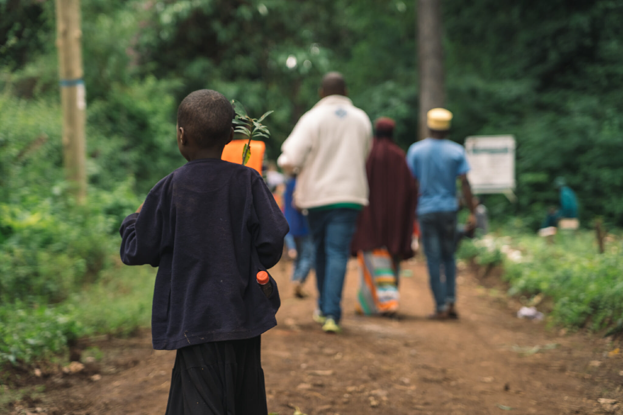 Pour chaque visite à Rau Forest, un arbre est planté par les écoliers du village