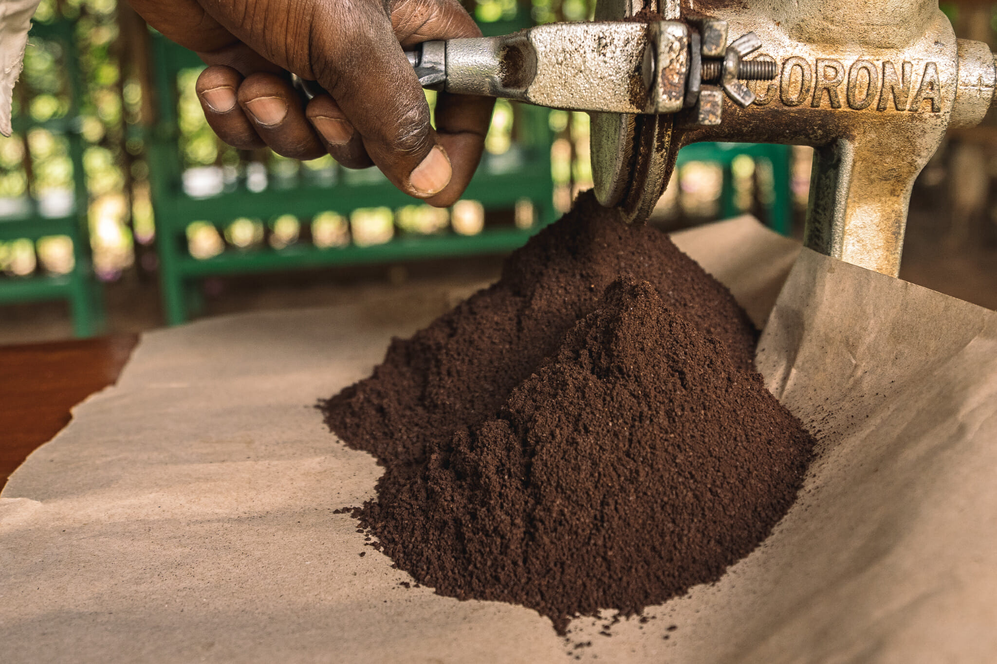 Découverte de la production de café en Tanzanie