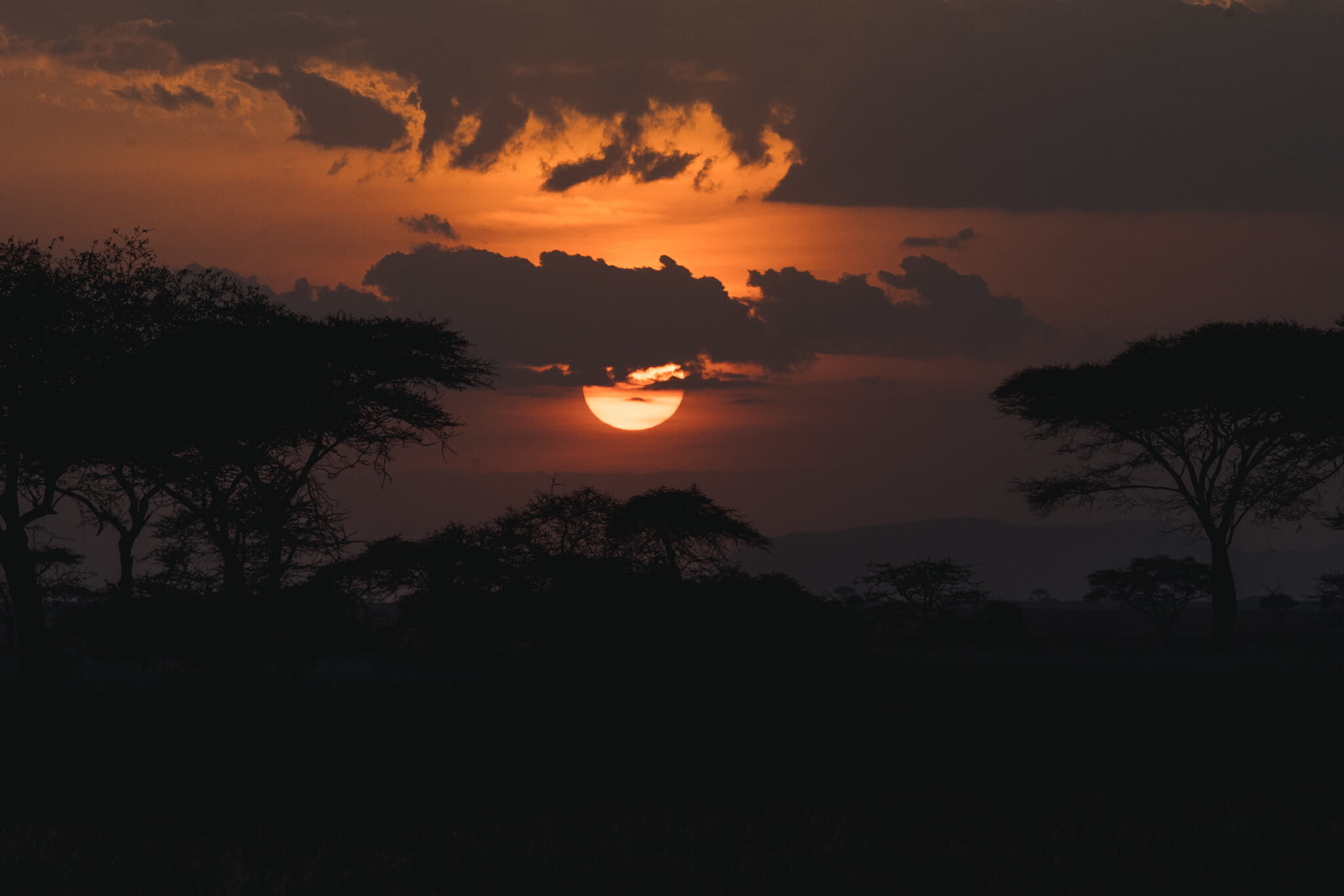 coucher de soleil sur le parc national du serengeti en tanzanie