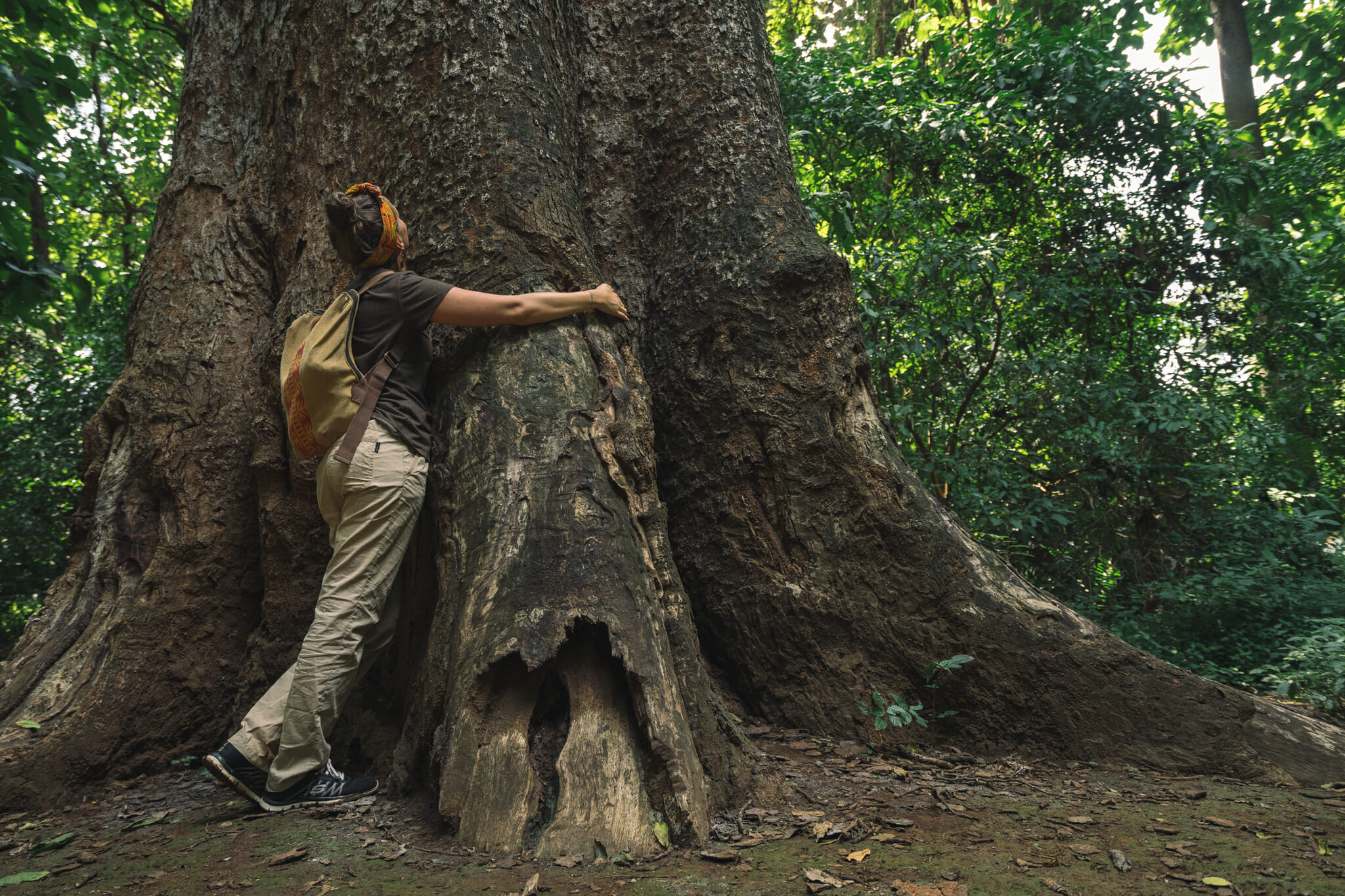 En harmonie avec la nature à Arusha en Tanzanie