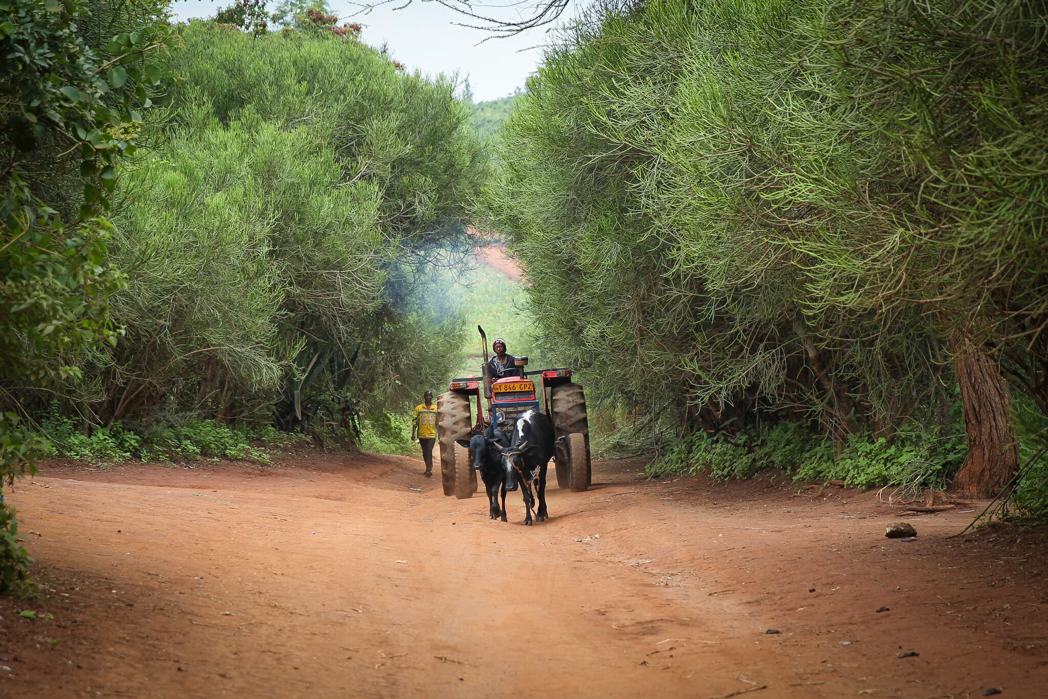 Arrivée à l'immersion dans le village d'Endallah en Tanzanie