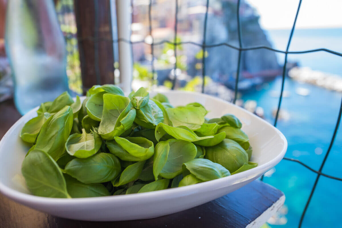 cours de cuisine à manarola
