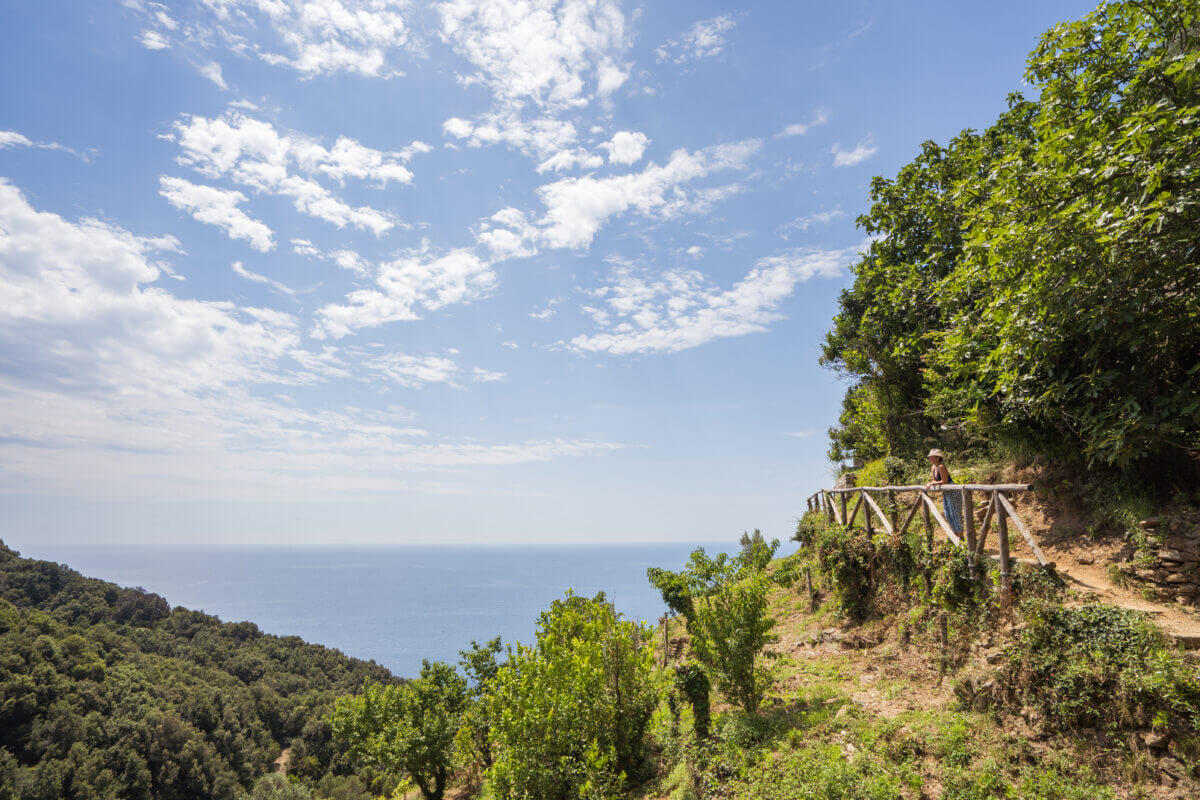 vue sur Monterosso al Mare
