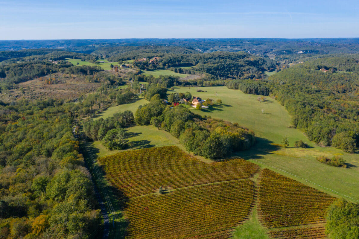 Vue aérienne sur les vignes du périgord noir 