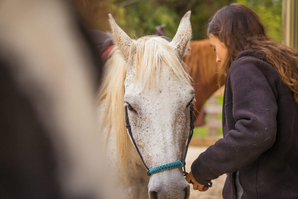 Rencontre avec Anne, éleveuse de chevaux dans le périgord noir