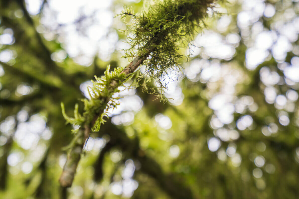 Balade dans le périgord noir sur le chemin du raysse 