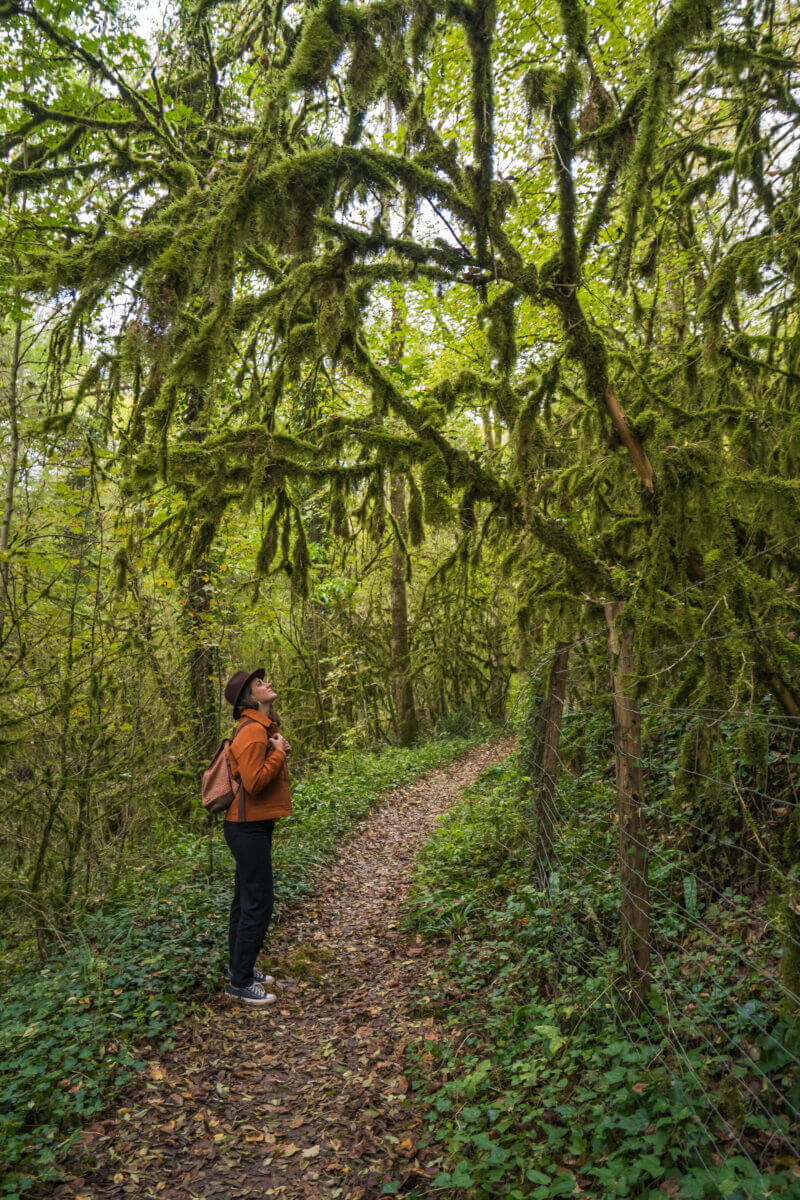 Balade dans le périgord noir sur le chemin du raysse 