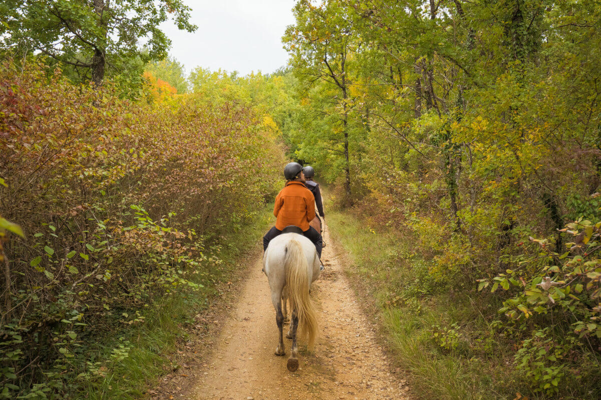 balade dans le périgord noir à la découverte du pastoralisme