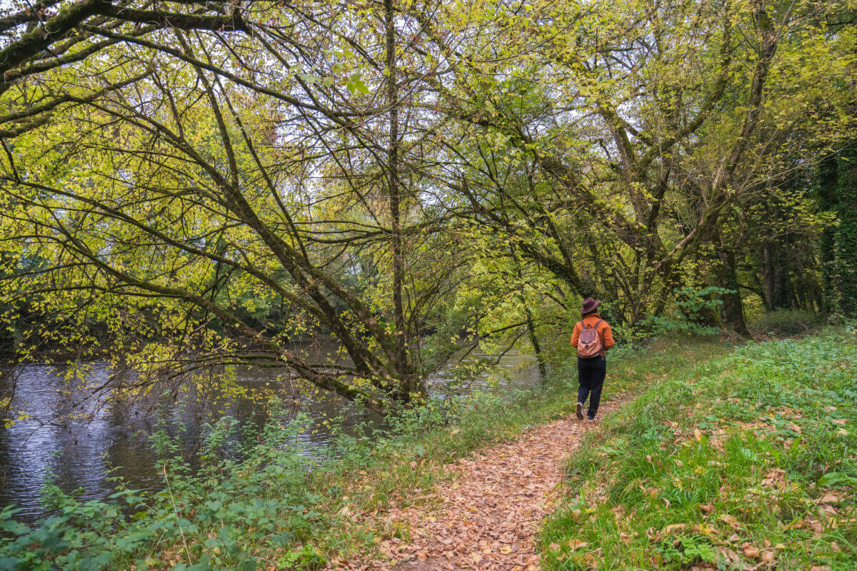 balade sur le chemin du rayse dans la vallée de la vézère