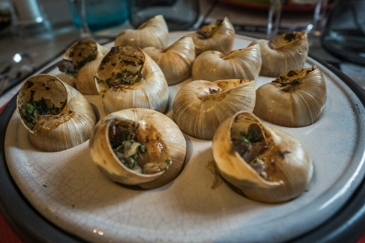 Découverte des escargots au magret de canard dans un restaurant du périgord noir