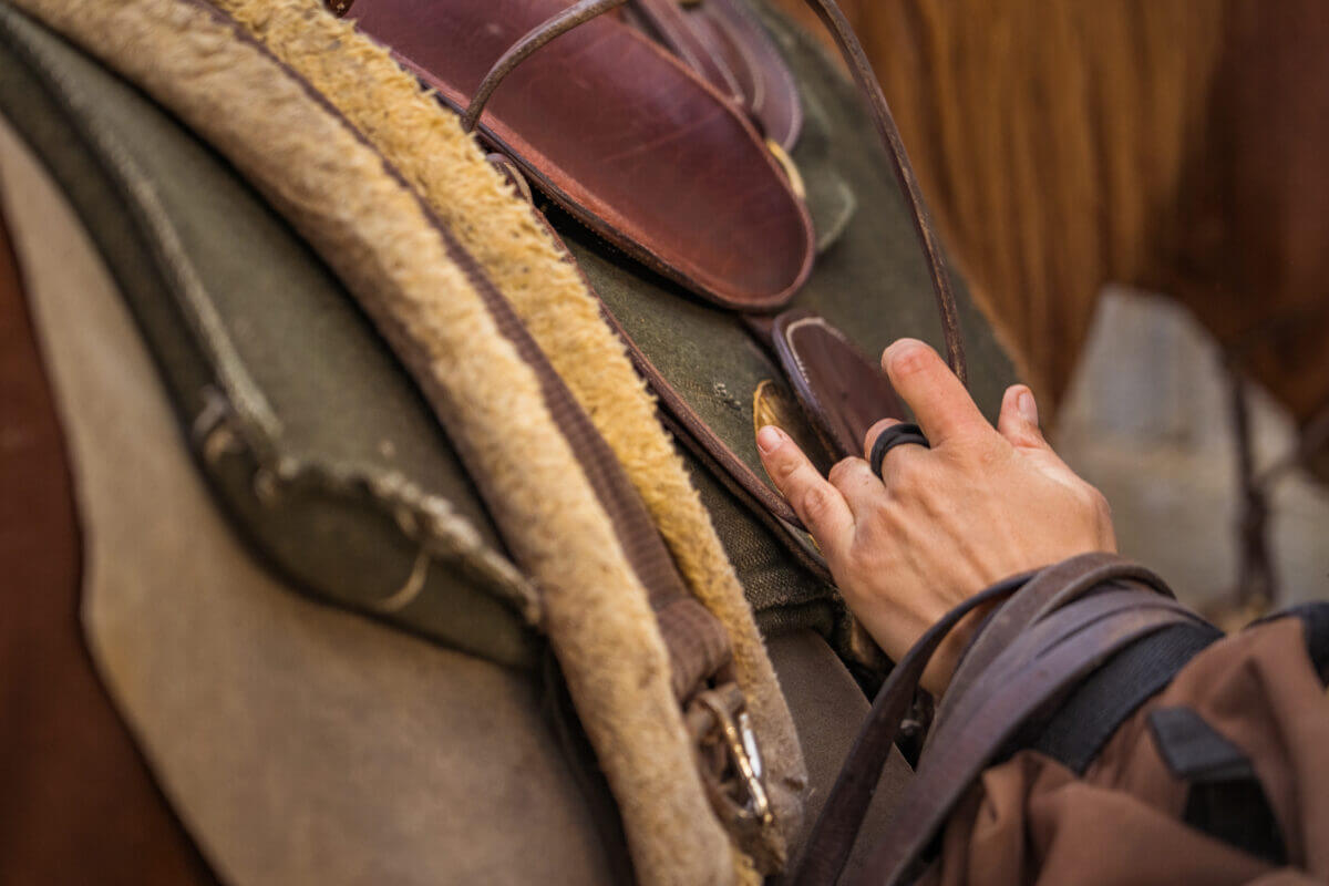 balade à cheval dans le périgord noir
