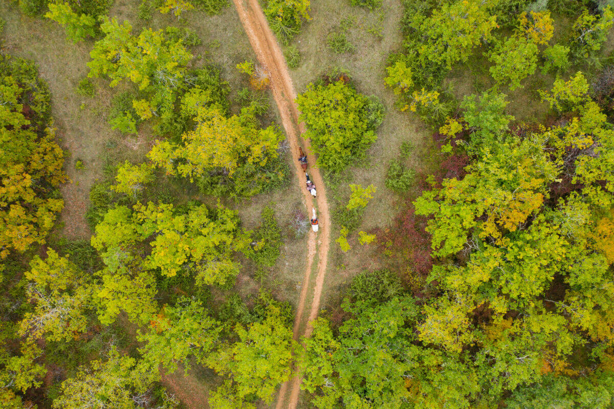 vue aérienne sur la vallée de la vézère dans le perigord noir