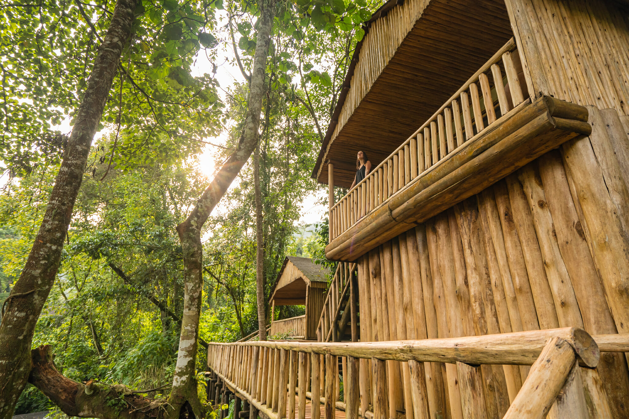 Vue sur le buhoma lodge au coeur de la forêt de bwindi en ouganda