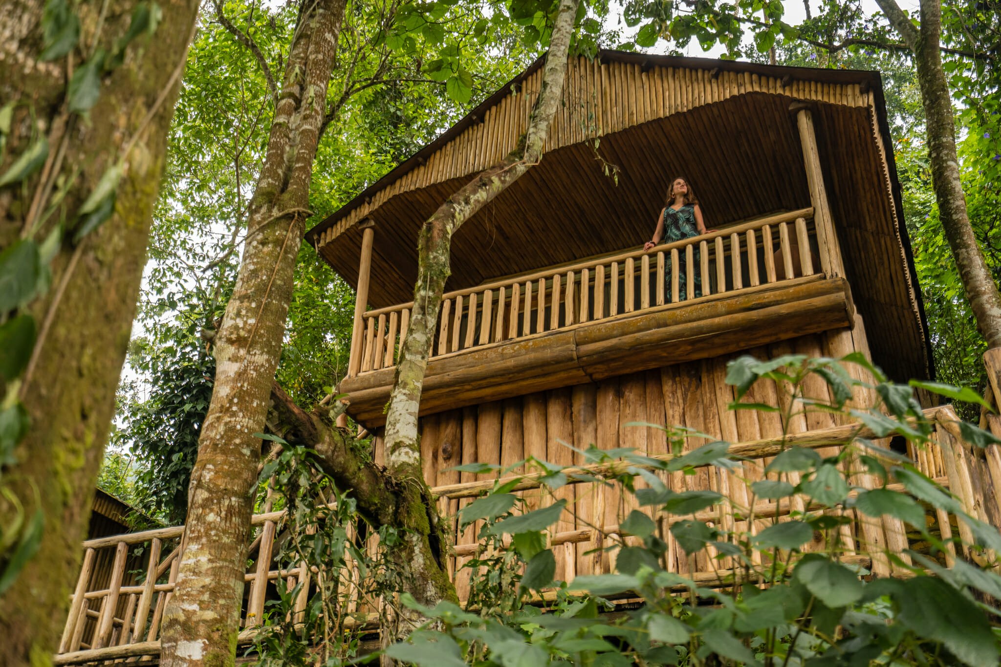 vue sur la cabane du buhoma lodge au pied de la foret de bwindi en ouganda