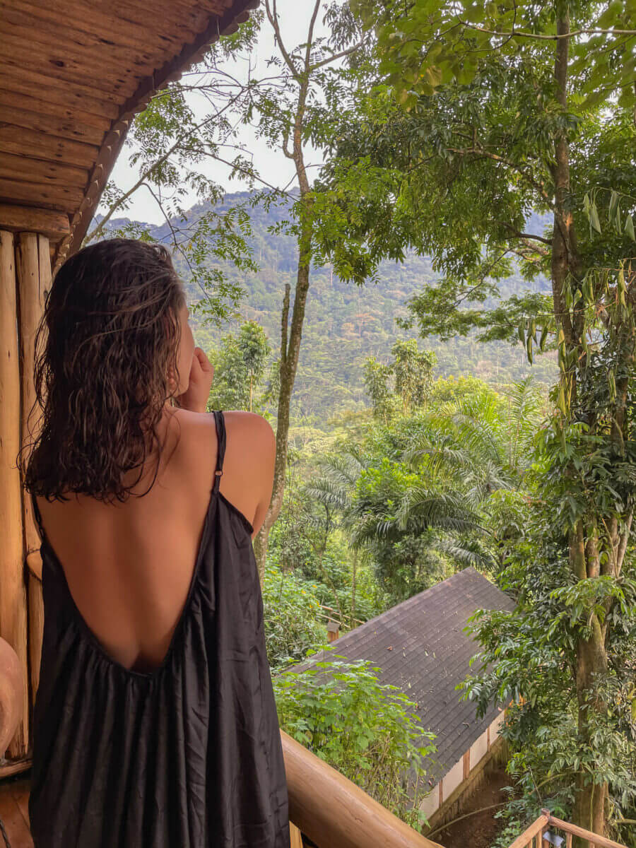 vue sur la forêt de bwindi en ouganda